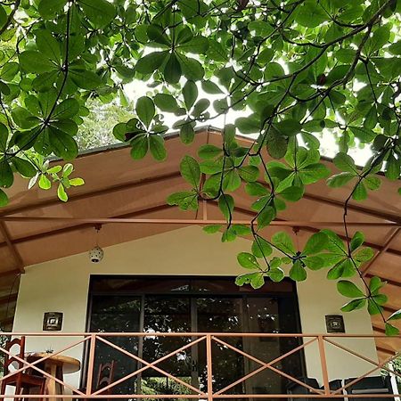 Casa Martina Apartamento Cahuita Exterior foto